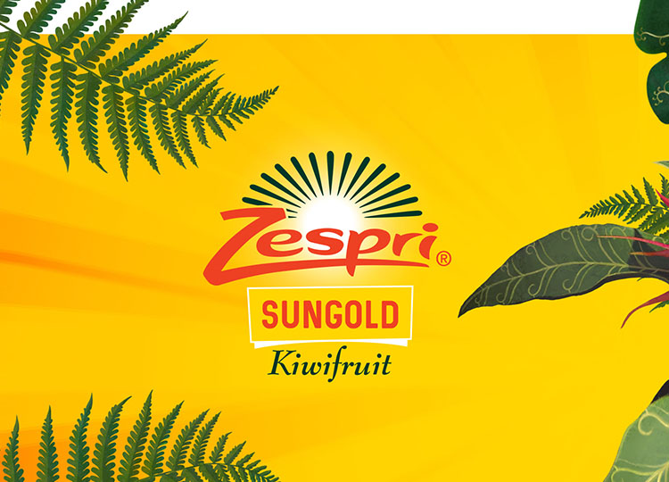 36_Zespri_ShopperAdventure_Blog_FeaturedImage_375x270