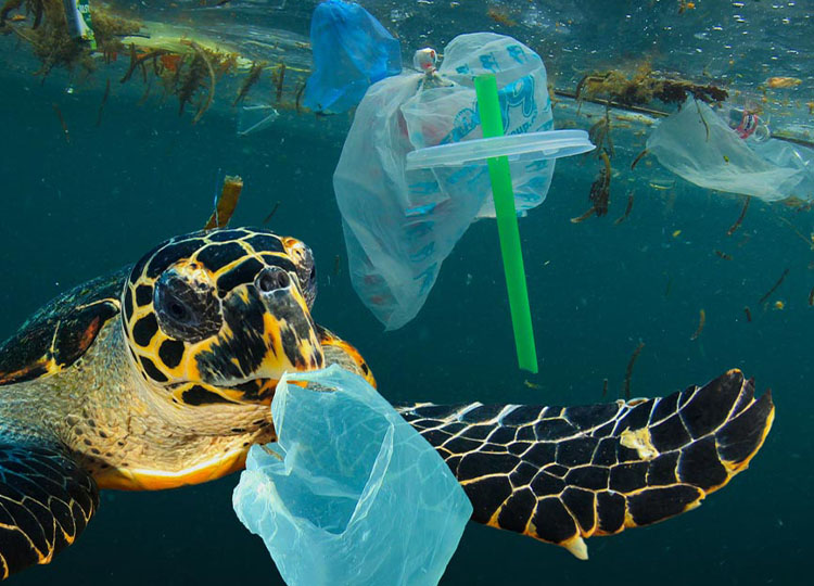 183_LRXD_SustainablePkg_3Rules_Blog_FeaturedImage_375x270