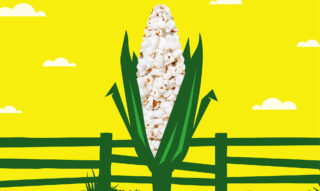 Valley Pop